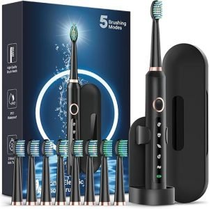Sonic Electric Toothbrush for Adults - Rechargeable Electric toothbrush with 8 Brush Heads & Travel Case,Teeth Whitening , Power Electric Toothbrush with Holder, 3Hours Charge for 120 Days